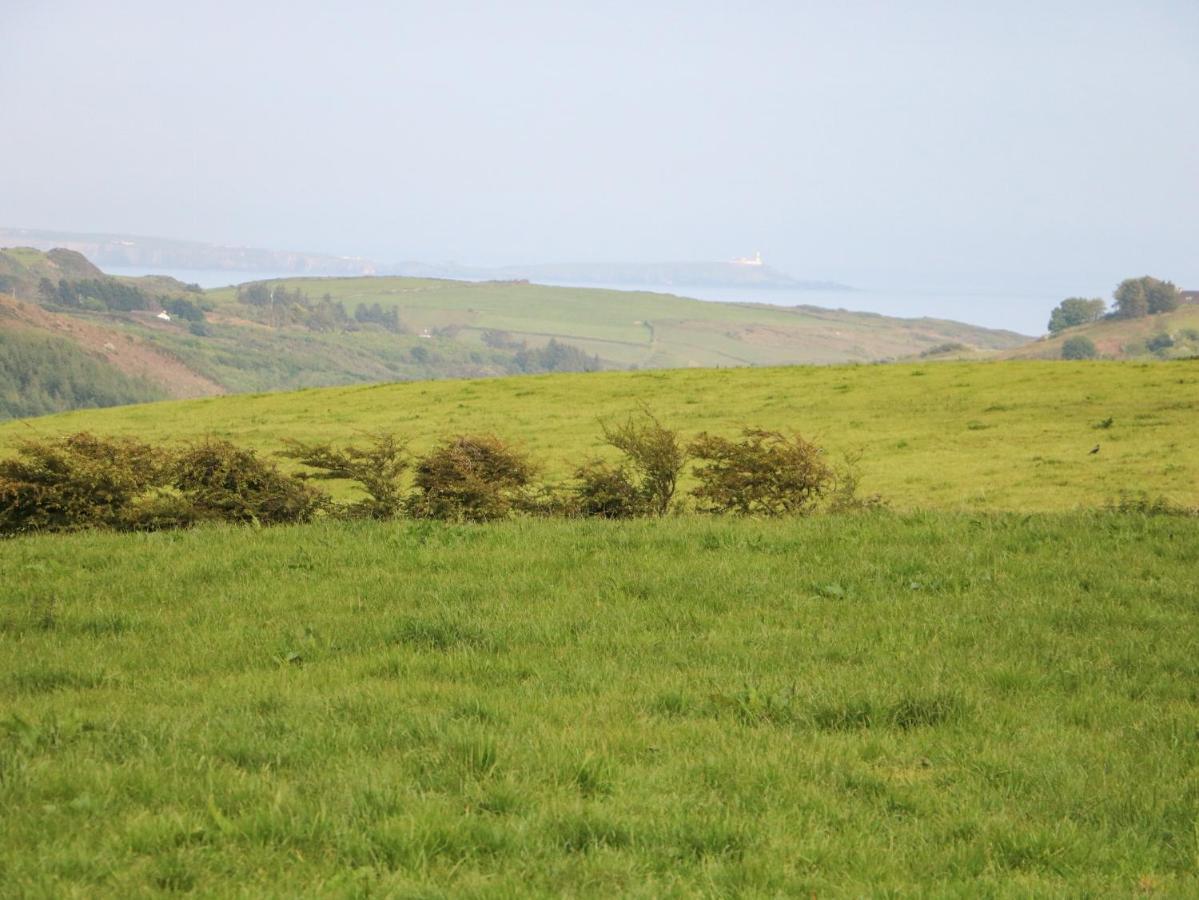 Ballyvoreen Glandore Eksteriør billede